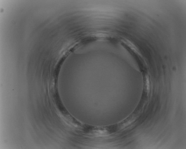 X0000063530552200601271904