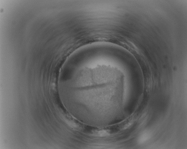 X0000063530553200601271904