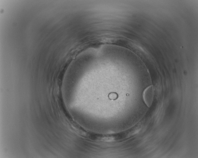 X0000063530554200601271904