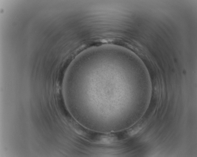 X0000063530555200601271904