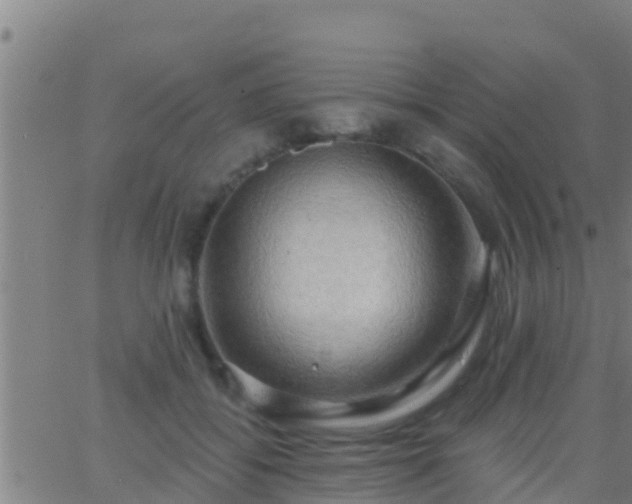 X0000063530556200601271904