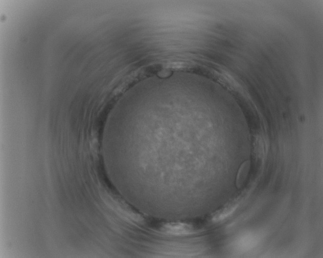 X0000063530557200601271904