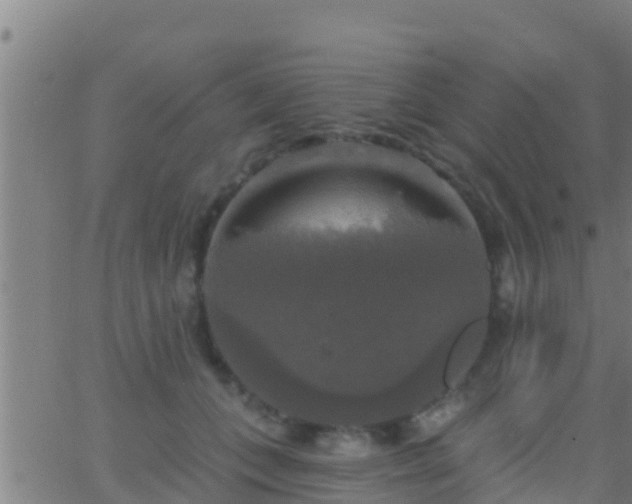 X0000063530559200601271904