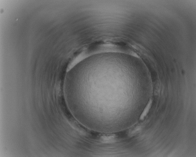 X0000063530560200601271904