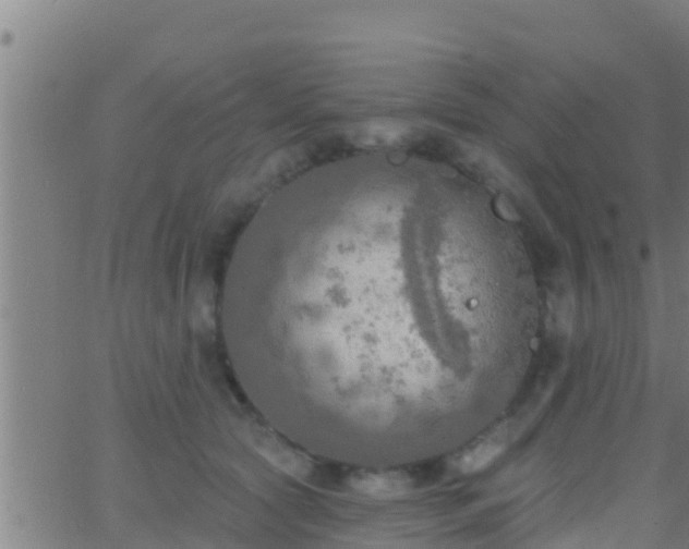 X0000063530561200601271904