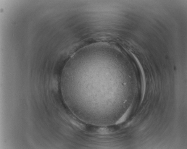 X0000063530562200601271904