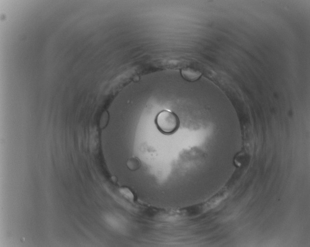 X0000063530563200601271904