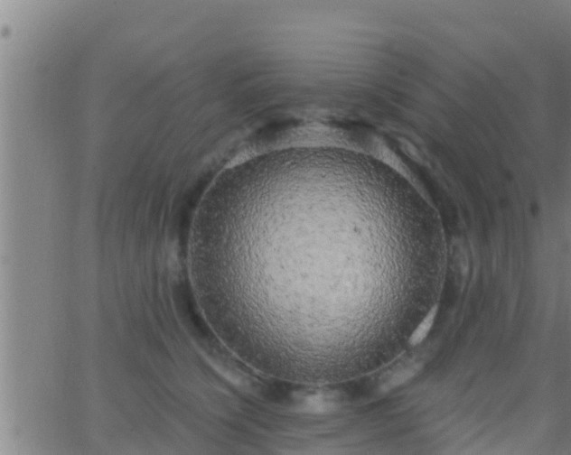 X0000063530564200601271904