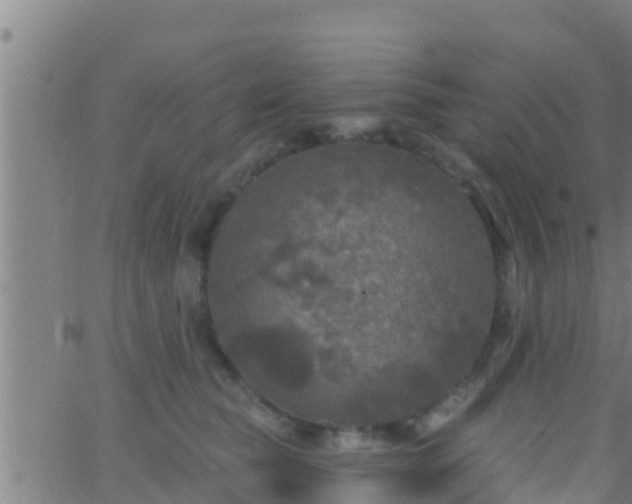 X0000063530565200601271904