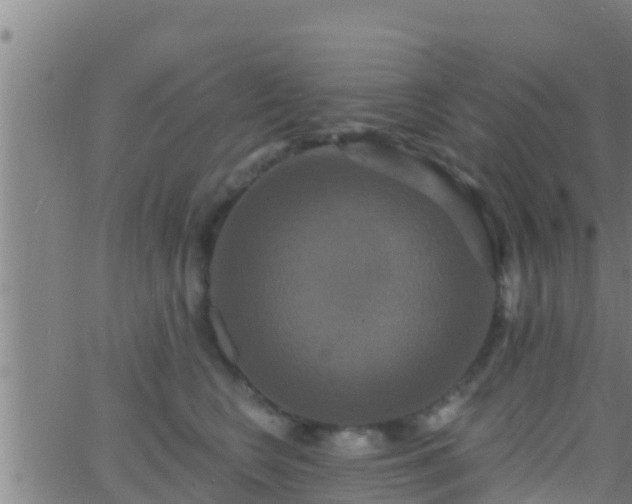 X0000063530566200601271904