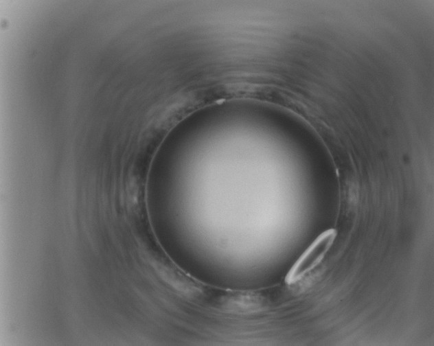 X0000063530567200601271904