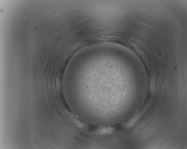 X0000063530569200601271904