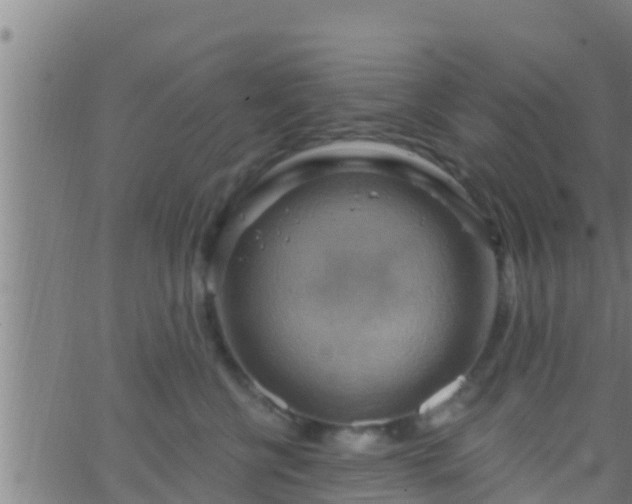 X0000063530570200601271904