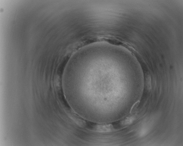 X0000063530571200601271904