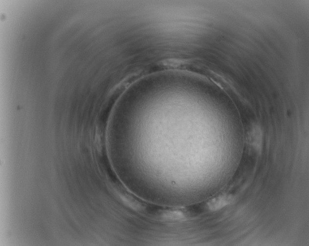 X0000063530572200601271904