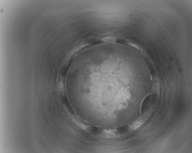 X0000063530573200601271904