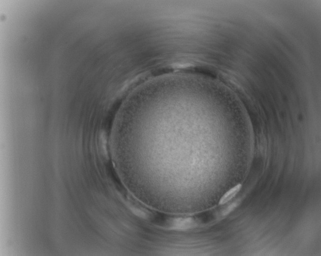 X0000063530575200601271904