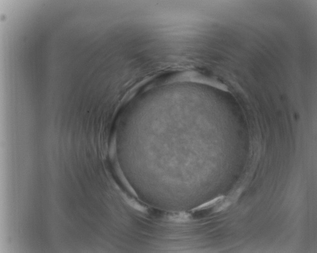 X0000063530576200601271904