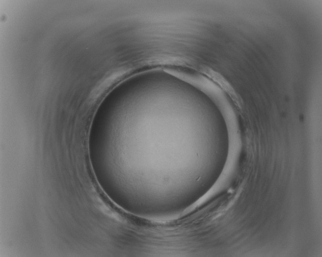 X0000063530577200601271903