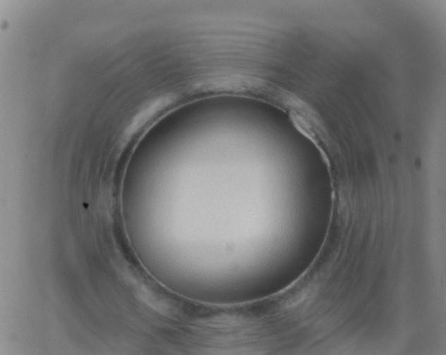 X0000063530578200601271903