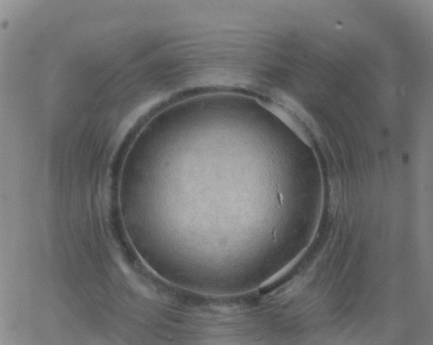 X0000063530580200601271903