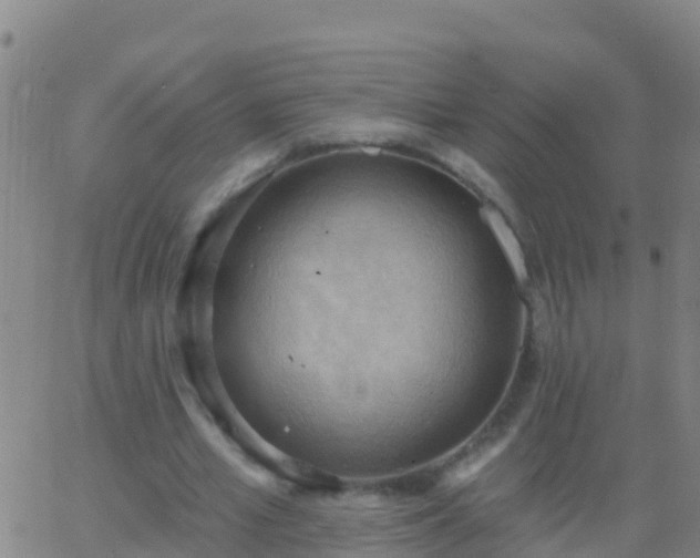 X0000063530581200601271903