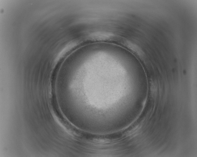 X0000063530582200601271903