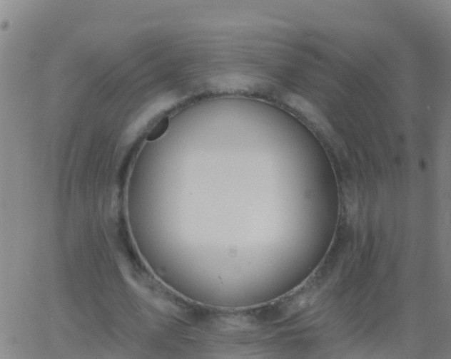 X0000063530583200601271903