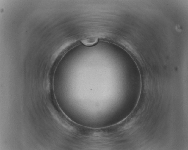 X0000063530584200601271903