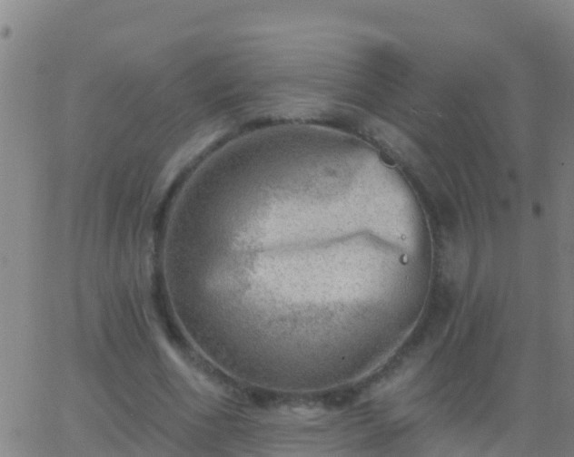 X0000063530586200601271903