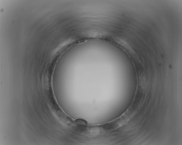 X0000063530587200601271903