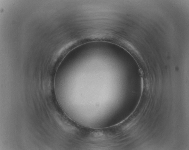 X0000063530588200601271903