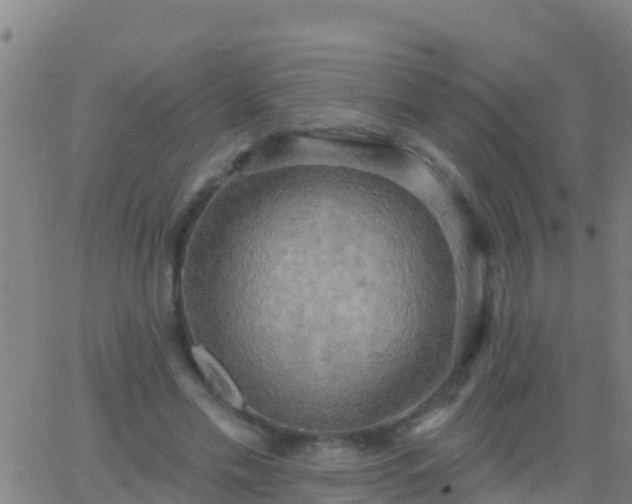 X0000063530589200601271903