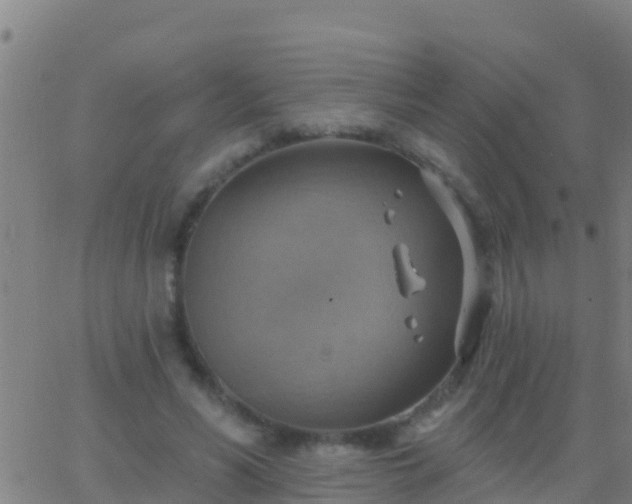 X0000063530590200601271903