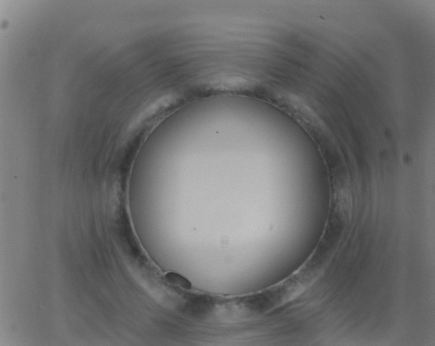 X0000063530591200601271903