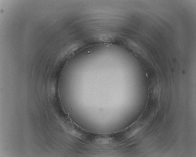 X0000063530595200601271903