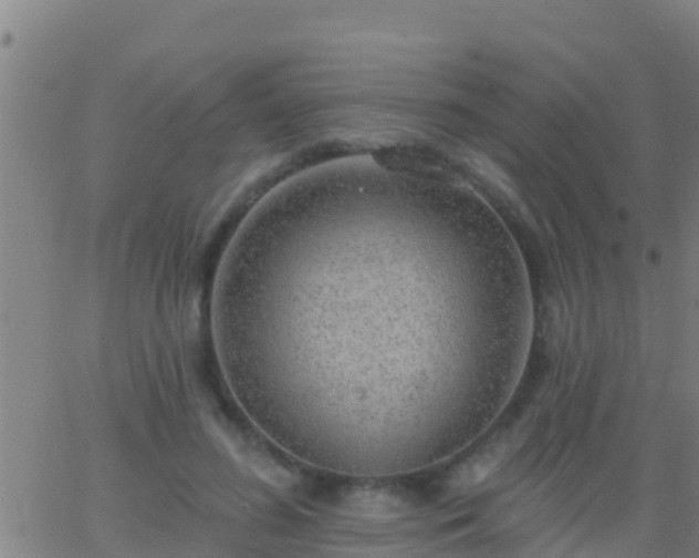 X0000063530596200601271903