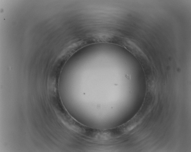 X0000063530599200601271903