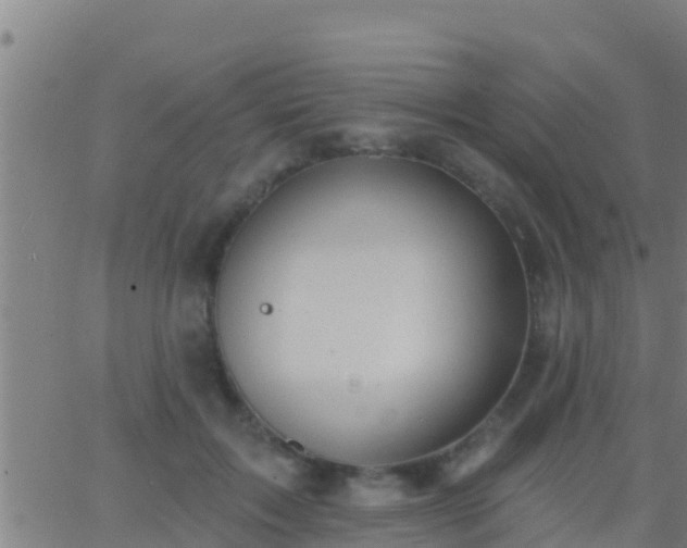 X0000063530603200601271903