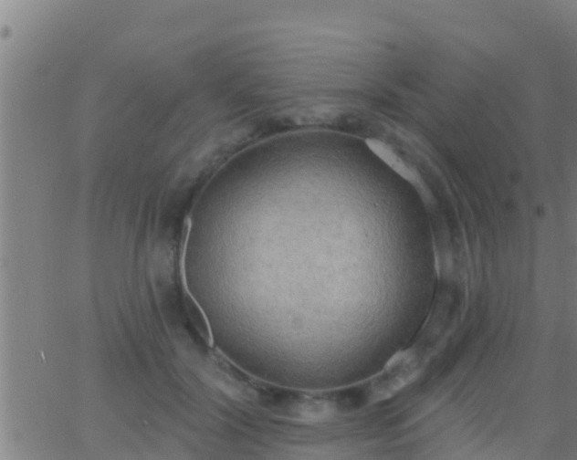 X0000063530604200601271903