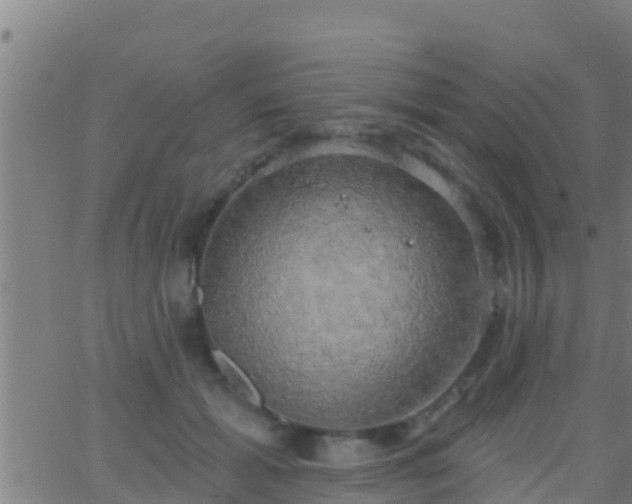 X0000063530605200601271903