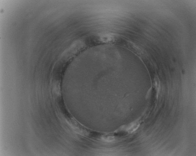 X0000063530606200601271903