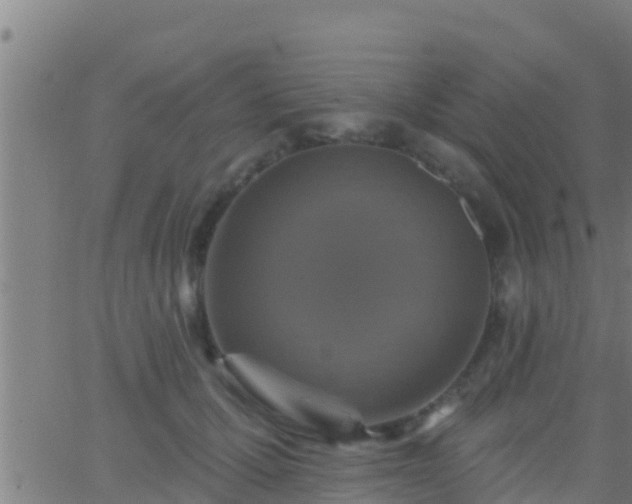 X0000063530607200601271903