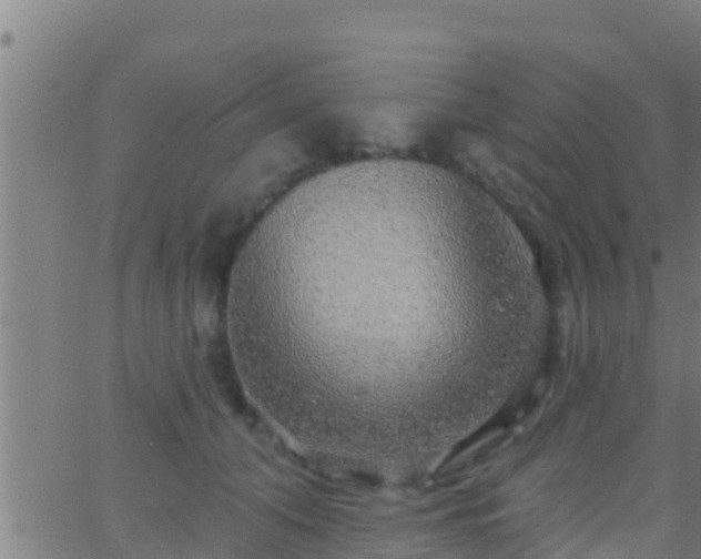 X0000063530608200601271903