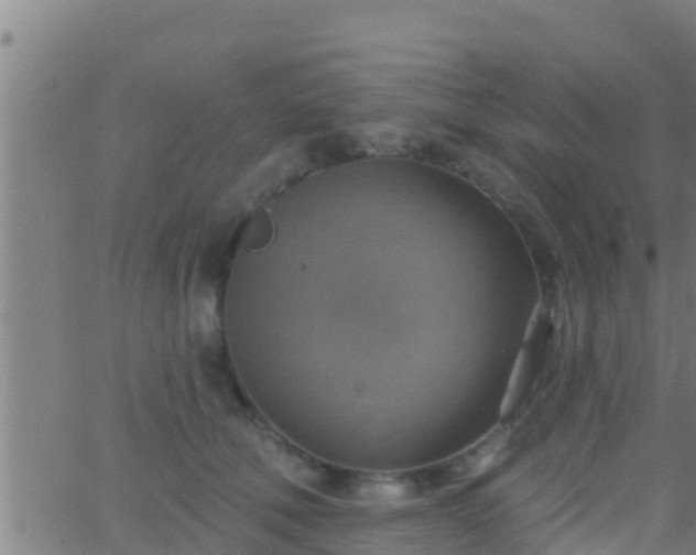 X0000063530610200601271903