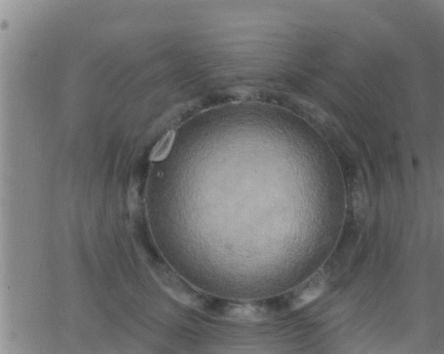 X0000063530611200601271903