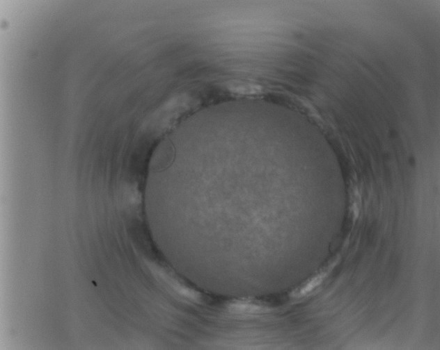 X0000063530614200601271903