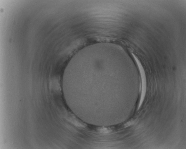 X0000063530616200601271903