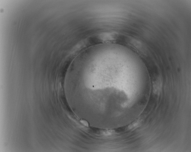 X0000063530618200601271902