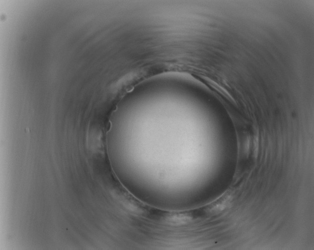 X0000063530619200601271902